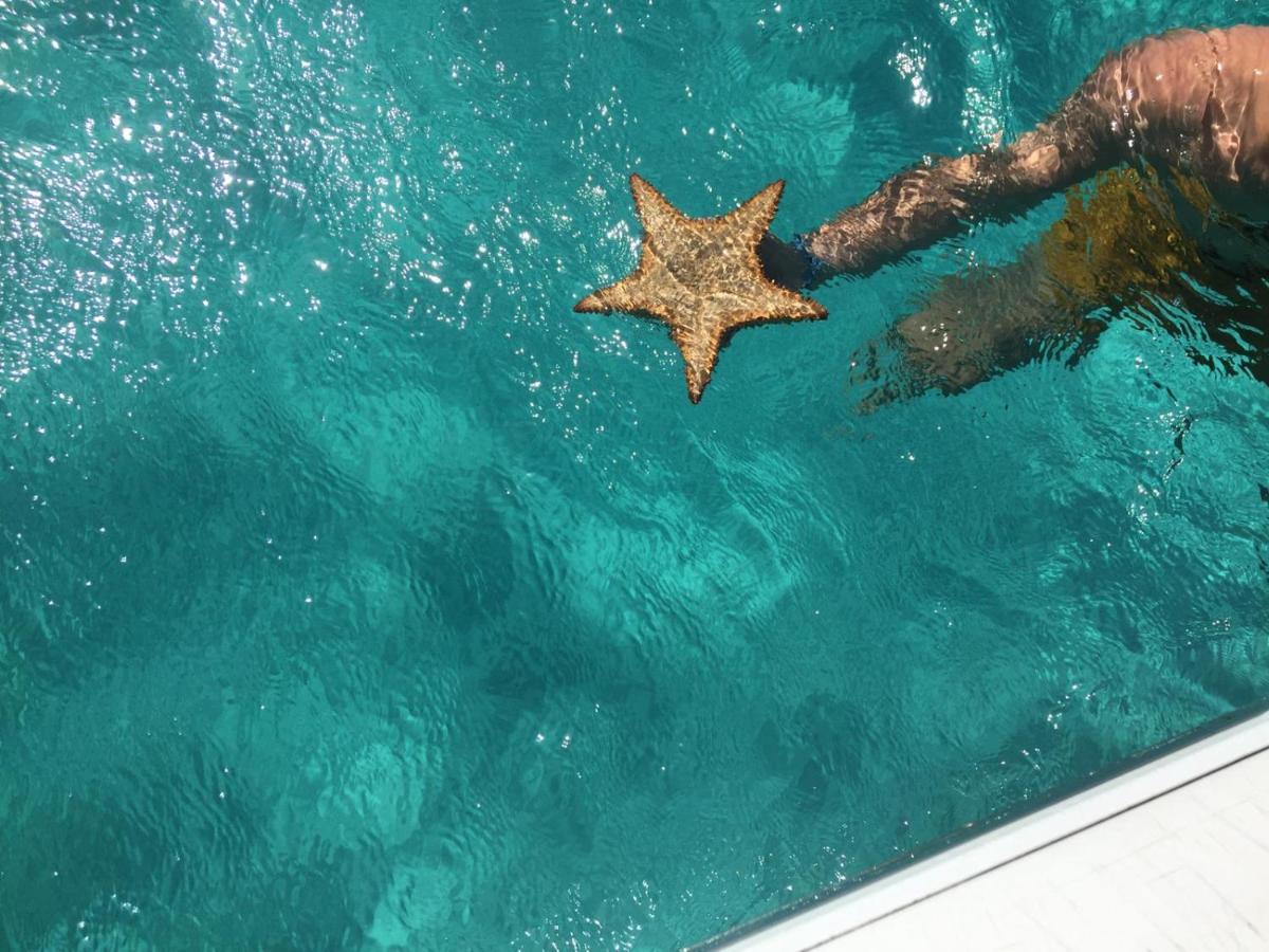 Zannanna F1 De Charme Tout Equipe Le Moule Avec Piscine Exterior foto
